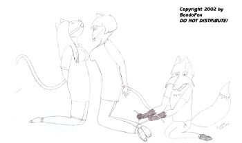 When I started this one, it was to answer a Visitor's Request from the chat room in the AdultFurries Yahoo group for a picture showing 'togetherness'; i.e., two females tied together. When I discovered I started them too far apart, I decided to make it a basic tandem bondage scene. Instead of vixens, I opted for cats, and felt they looked enough alike to make them two sisters in bondage. The male fox was an afterthought; the more I looked at the picture during its creation, the more I liked the idea of putting in someone doing the tying-up. He was meant to be a burglar, but ended up looking like a friend invited over to play bondage games. I hate his appearance; the head and expression are all wrong, the proportions are completely wrong. But I am very happy with the way his paws turned out! And the one sister's didn't turn out too badly either. The dark line in her wrist ropes is from the scanner: the drawing was done on an 18 x 12 sketchpad, and required two scans and Photoshop to piece them together. I like the gag on the first sister and how it's deeper in her muzzle then the other, but her feet are too darned small, and even after I made 'em bigger! Like the last tandem picture I drew, this one kept me fairly aroused as well.
